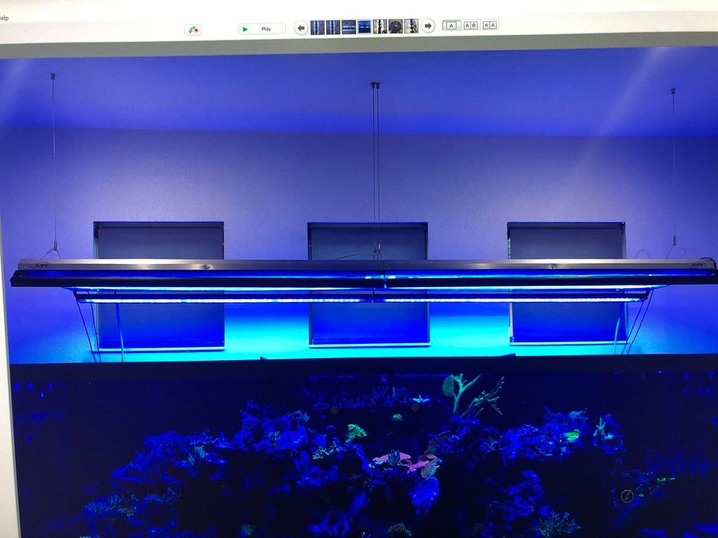 FS 48” ATI Sunpower 8 x 54W with 8 T5 bulbs & 48” Reef Brite Blue XHO